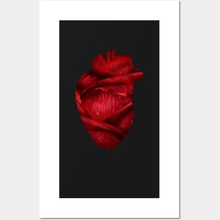 Red Scarlet Blood Rose Heart Posters and Art